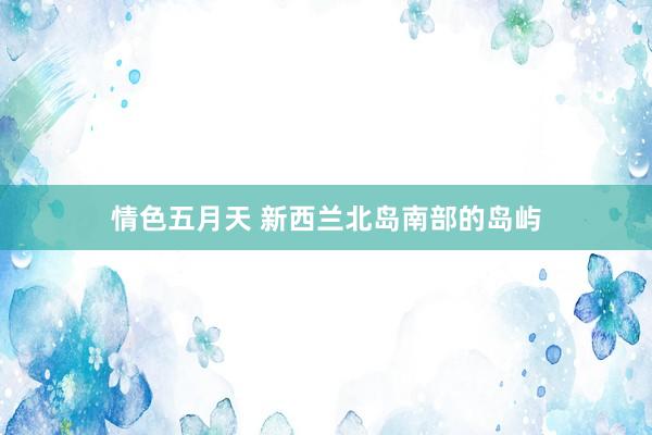 情色五月天 新西兰北岛南部的岛屿