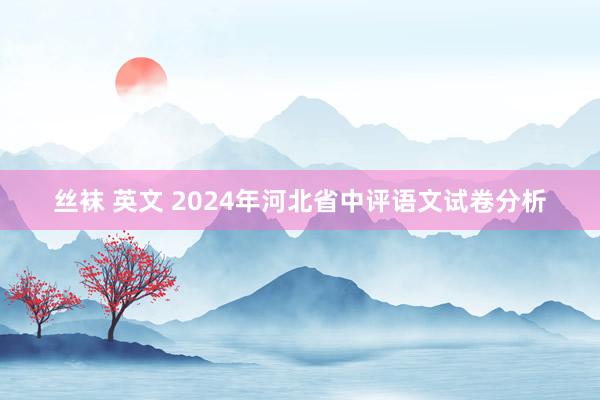 丝袜 英文 2024年河北省中评语文试卷分析