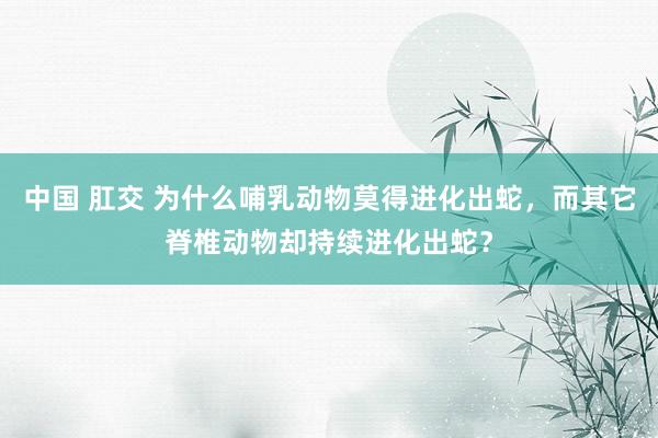 中国 肛交 为什么哺乳动物莫得进化出蛇，而其它脊椎动物却持续进化出蛇？