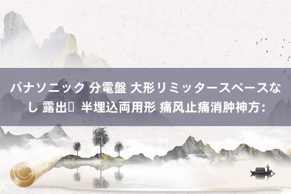 パナソニック 分電盤 大形リミッタースペースなし 露出・半埋込両用形 痛风止痛消肿神方：