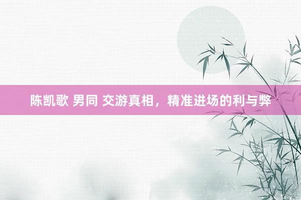 陈凯歌 男同 交游真相，精准进场的利与弊