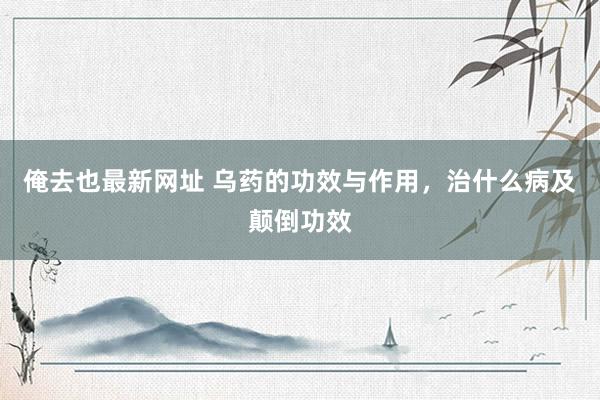 俺去也最新网址 乌药的功效与作用，治什么病及颠倒功效