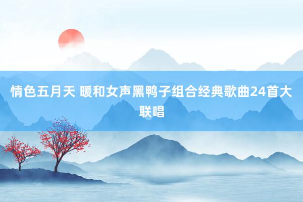情色五月天 暖和女声黑鸭子组合经典歌曲24首大联唱